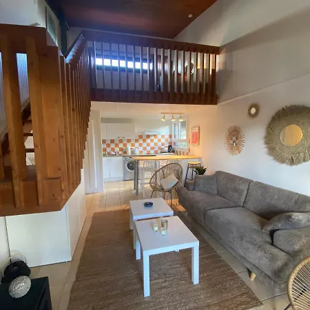 Marensin. Duplex, Proche De La Des Bourdaines *