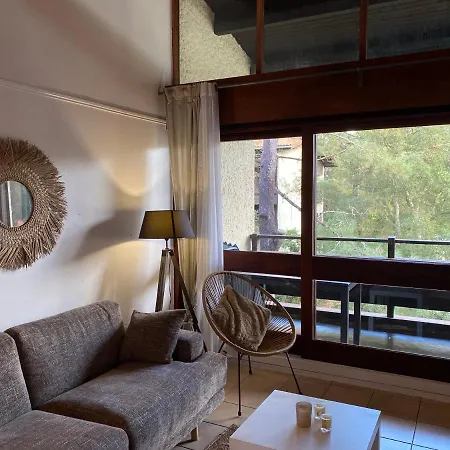 Marensin. Duplex, Proche De La Des Bourdaines *