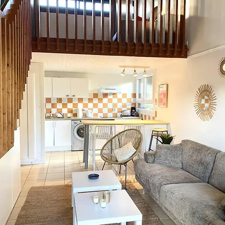 Marensin. Duplex, Proche De La Des Bourdaines * Seignosse