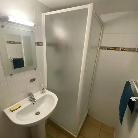 Marensin. Duplex, Proche De La Des Bourdaines