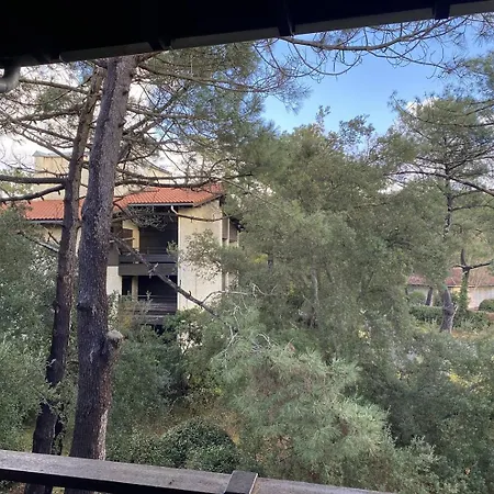Marensin. Duplex, Proche De La Des Bourdaines Apartman *